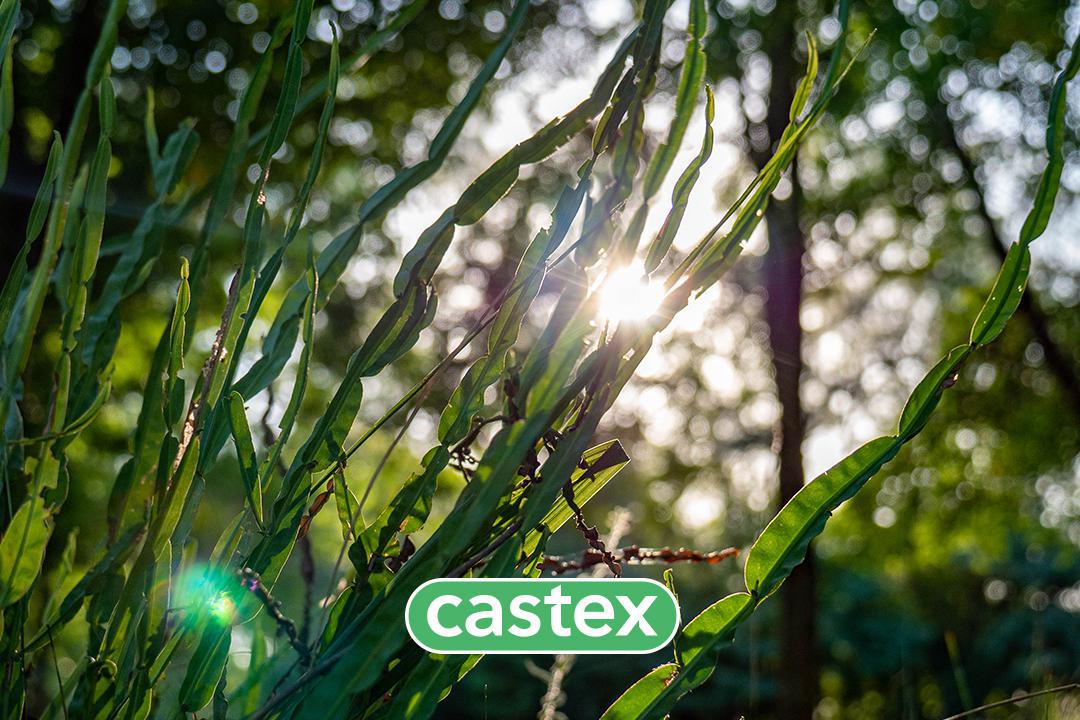 #4482960 | Venta | Lote | Tortugas Garden (Castex Experiencia Pilar)
