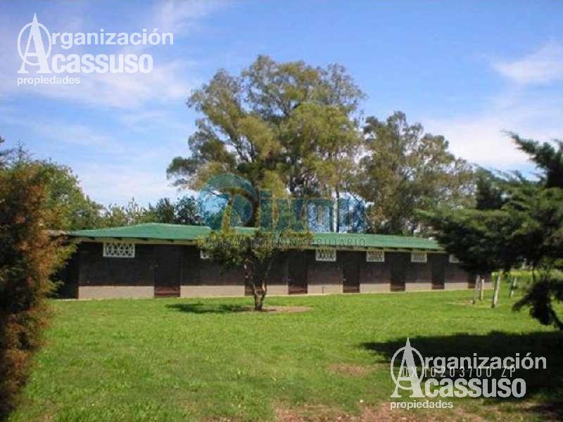 #2551934 | Venta | Campo / Chacra | San Antonio De Areco (Organización Acassuso - Casa Central)