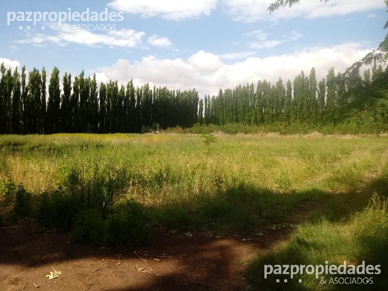 #936081 | Venta | Lote | Confluencia Del Aguijon (Paz Propiedades)