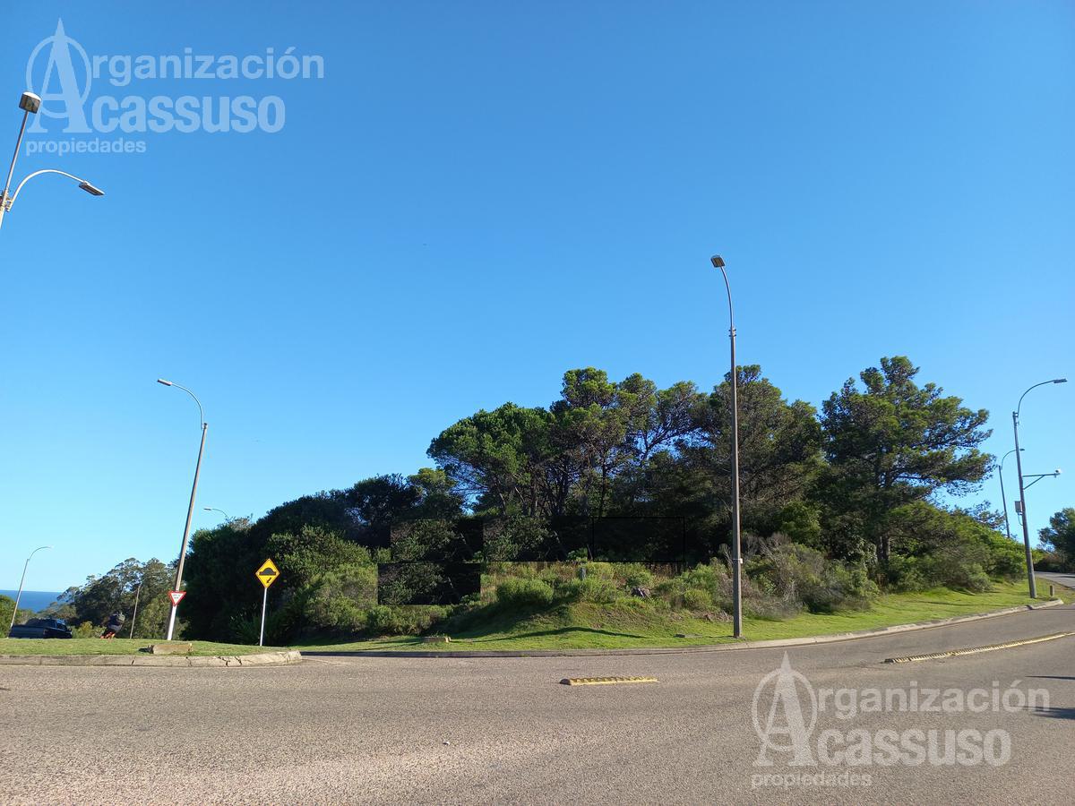 #2429732 | Venta | Lote | Punta Ballena (Organización Acassuso - Casa Central)