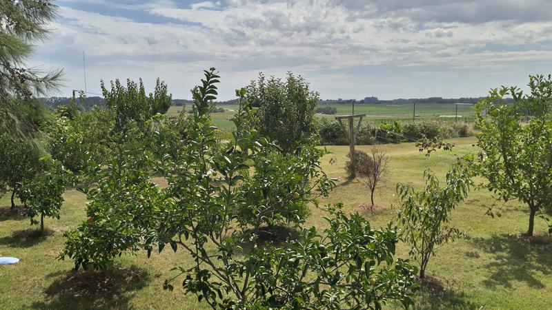 #1003450 | Venta | Campo / Chacra | Colonia del Sacramento (Terrasol)