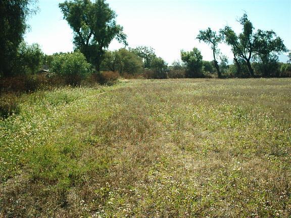 #189739 | Venta | Campo / Chacra | Canning (Ianchuk)