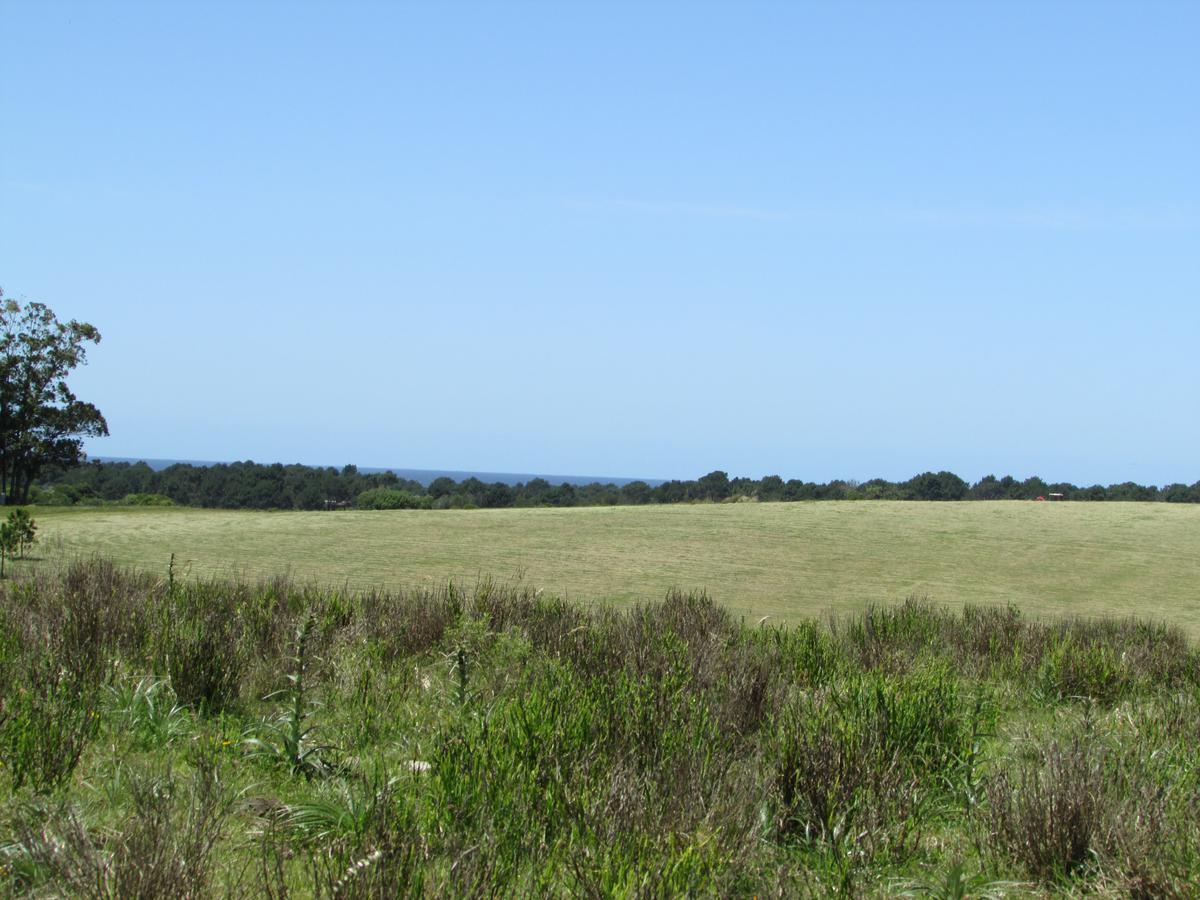 #1003953 | Venta | Campo / Chacra | Faro José Ignacio (Terramar)