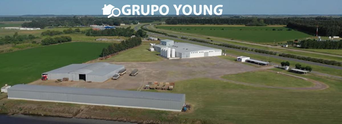 #4389504 | Sale | Warehouse | San Pedro (GRUPO YOUNG)