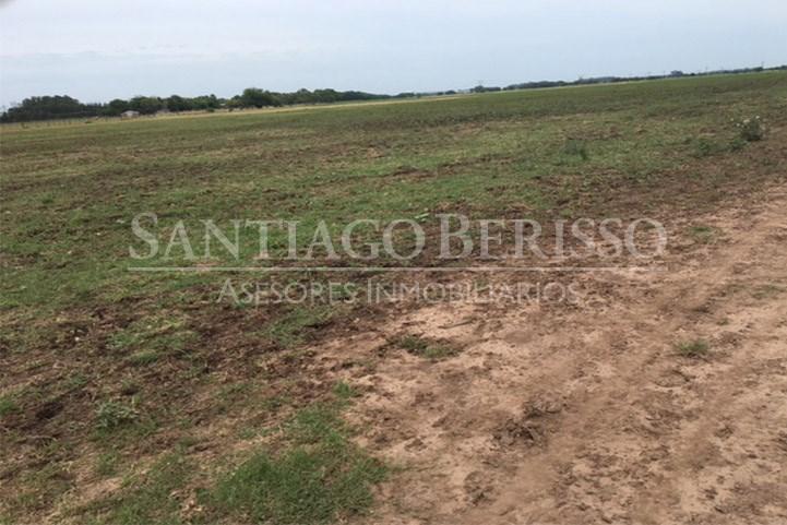 #5038660 | Sale | Farm | Zarate (SB Asesores Inmobiliarios)