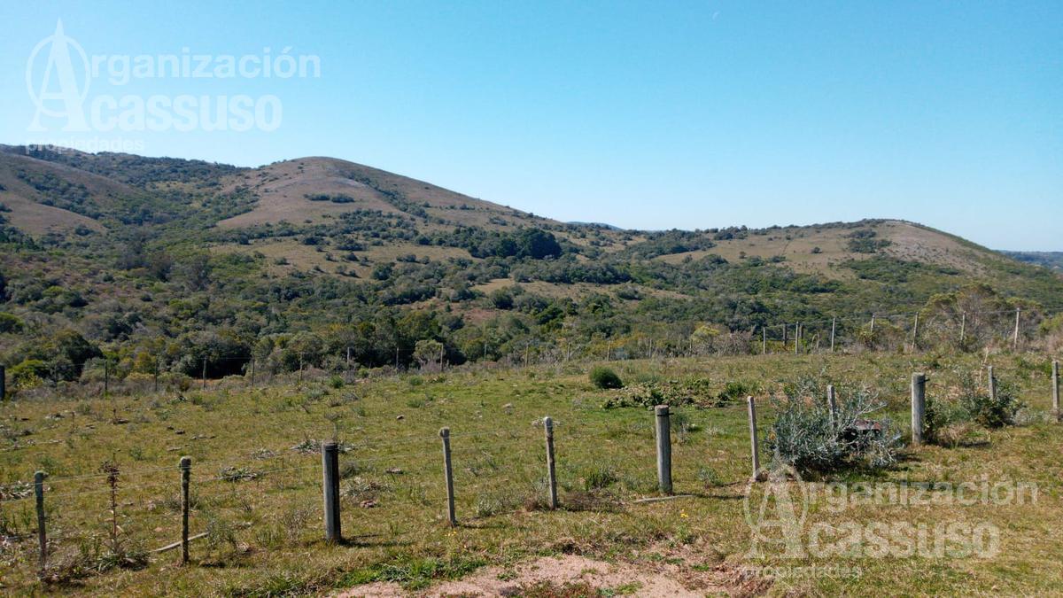 #1490038 | Venta | Campo / Chacra | Maldonado (Organización Acassuso - Casa Central)