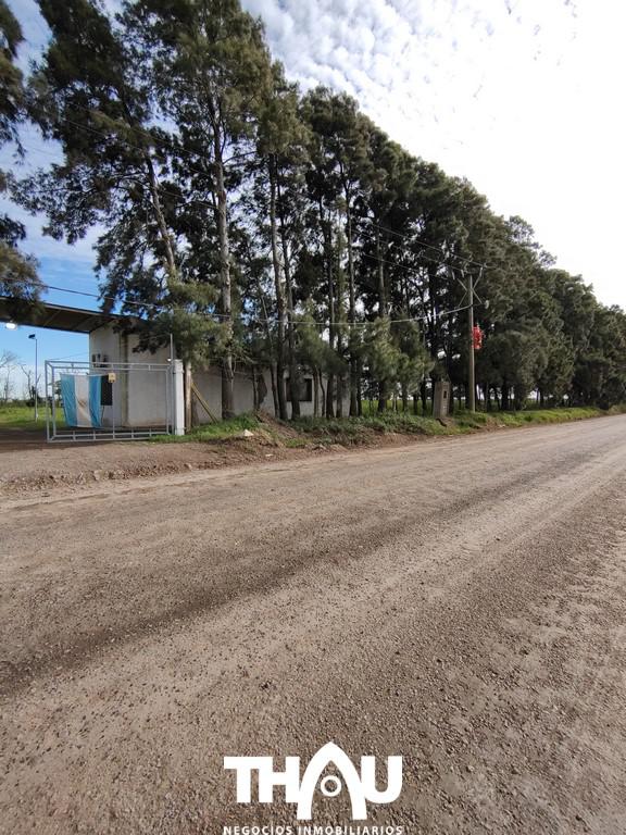 #4364453 | Venta | Campo / Chacra | Puerto Gral San Martin (Thau Propiedades)