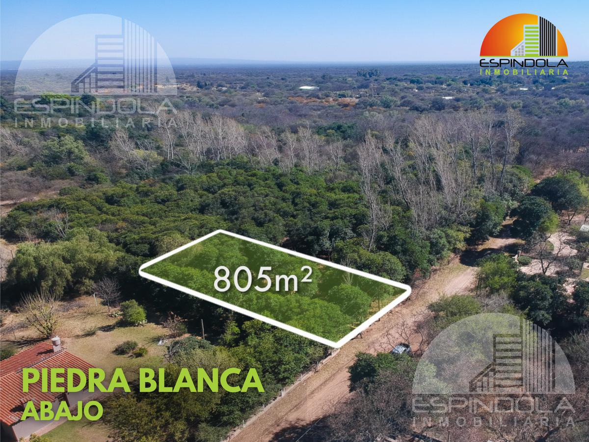 #2186586 | Venta | Lote | Piedra Blanca Abajo (ESPINDOLA)