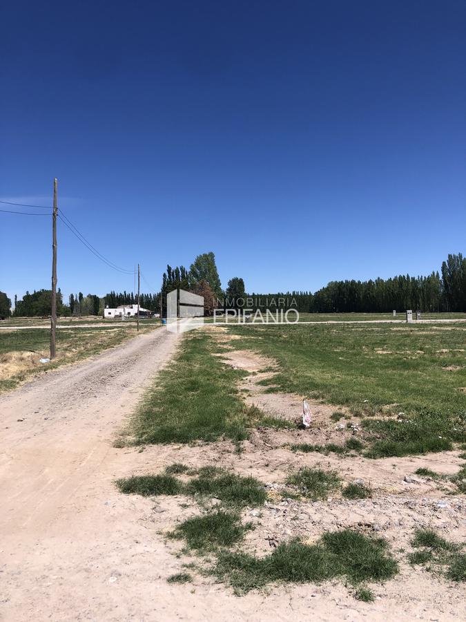 #2321448 | Venta | Lote | General Roca (Inmobiliaria Epifanio)