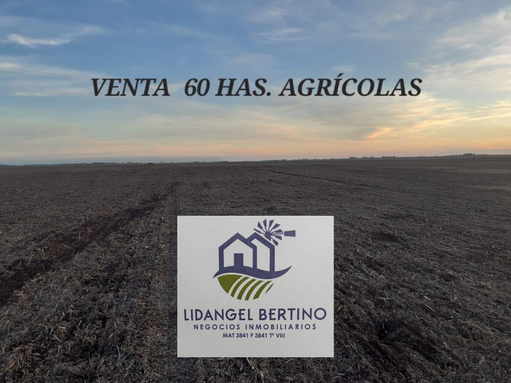 #4443847 | Sale | Farm | Bolivar (Lidangel Bertino negocios inmobiliarios)