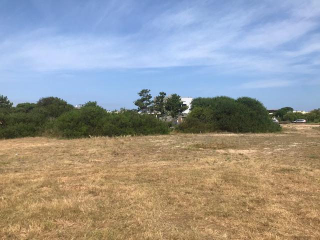 #2356083 | Venta | Lote | Arenas de José Ignacio (Terramar)