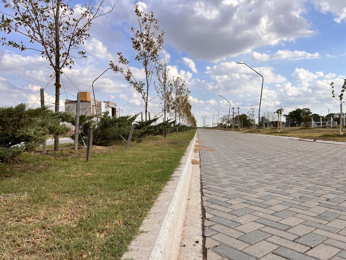 #4433050 | Venta | Lote | Pueblo Esther (Pablo di Rico)