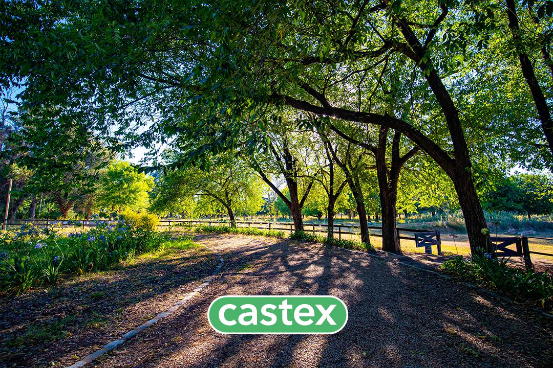 #4482960 | Venta | Lote | Tortugas Garden (Castex Experiencia Pilar)