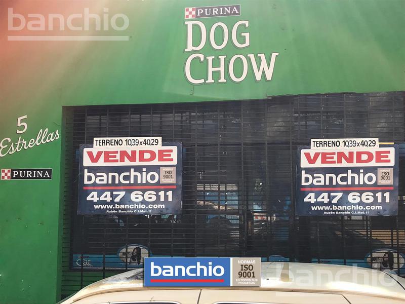 #355397 | Venta | Lote | Abasto (Banchio sa)