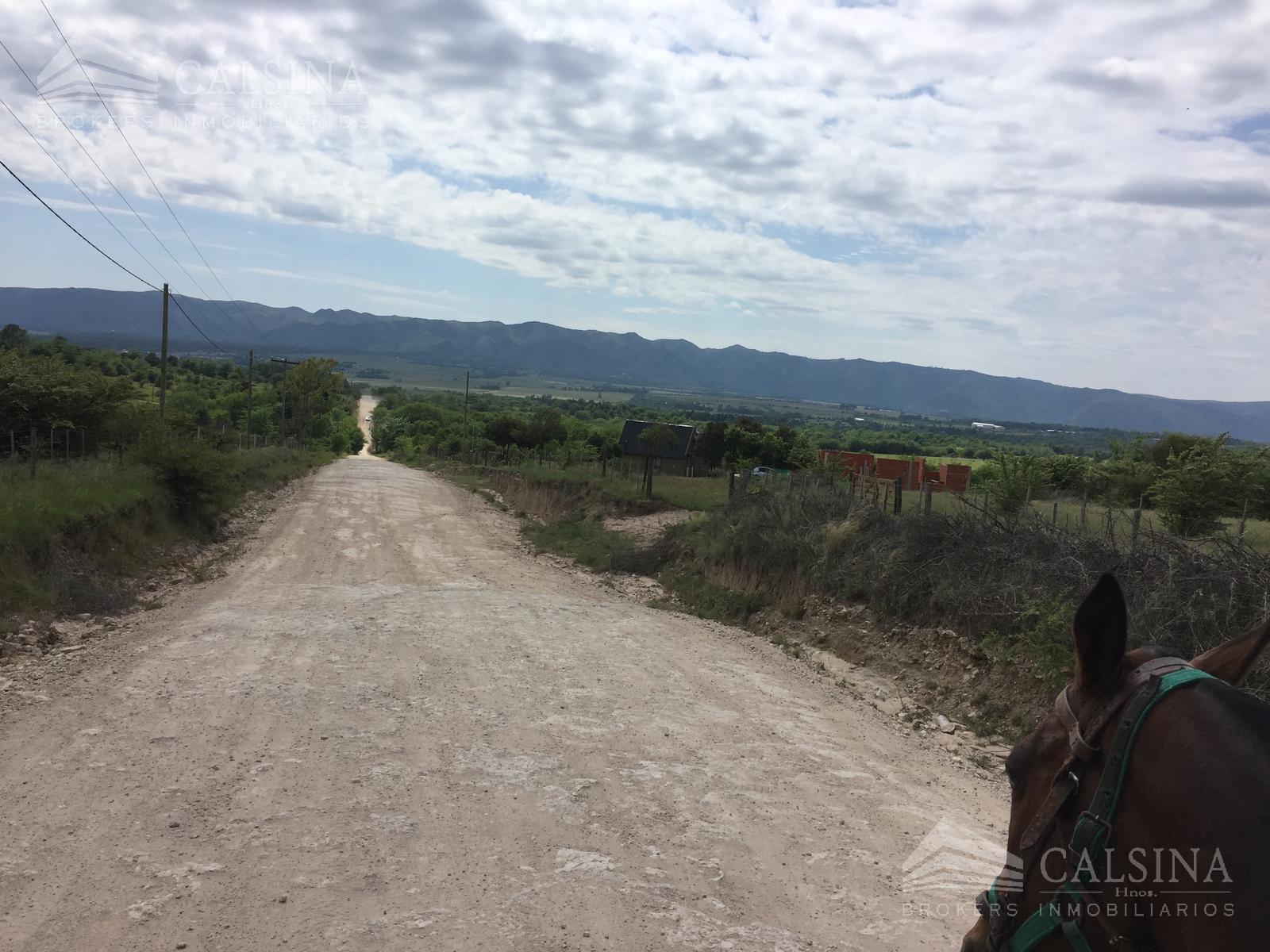 #5253538 | Sale | Farm | Los Reartes (Inmobiliaria Calsina Hnos.)