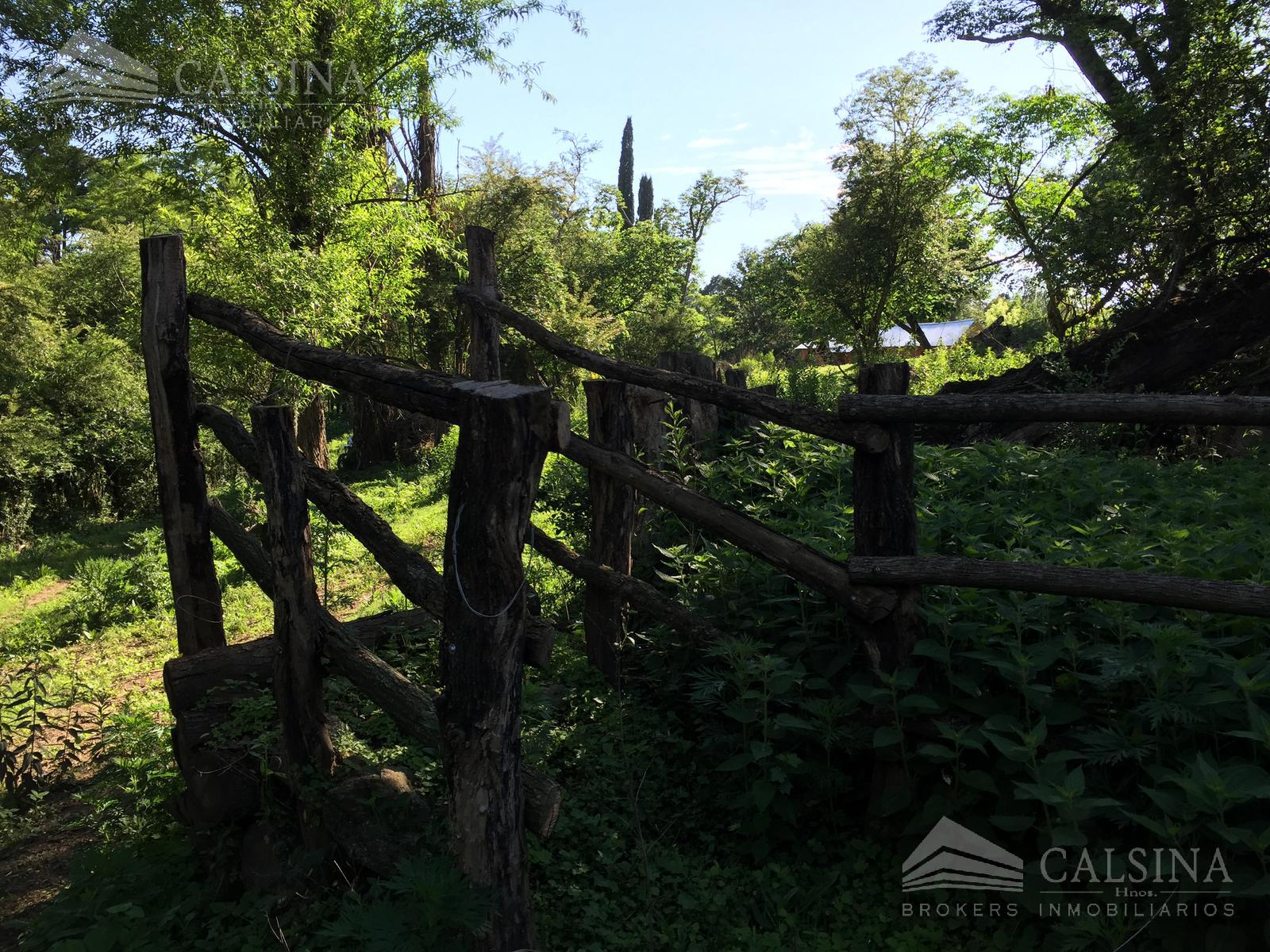 #5253538 | Sale | Farm | Los Reartes (Inmobiliaria Calsina Hnos.)