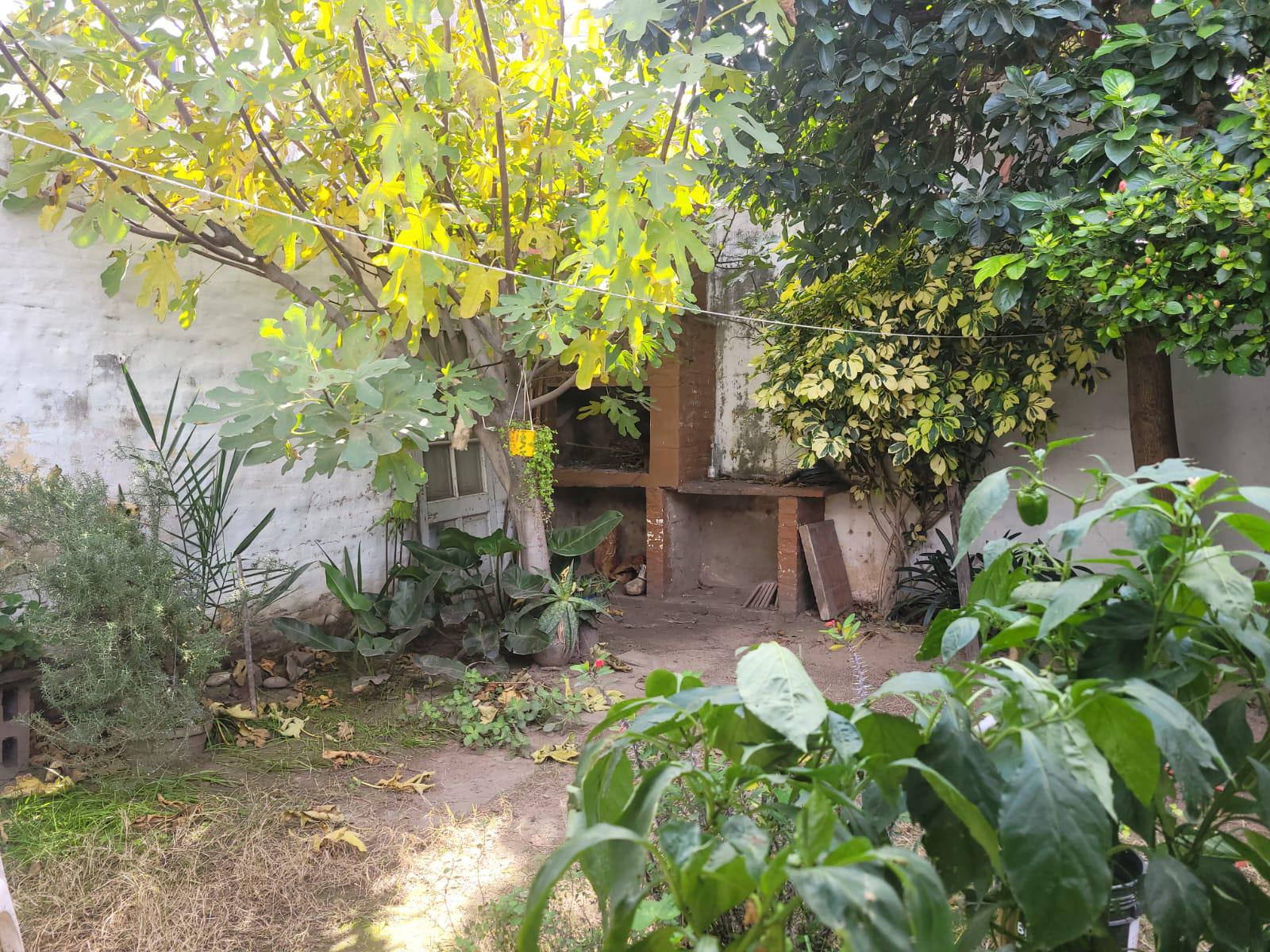 #5279280 | Venta | Casa | Alberdi (López  Baena Propiedades)