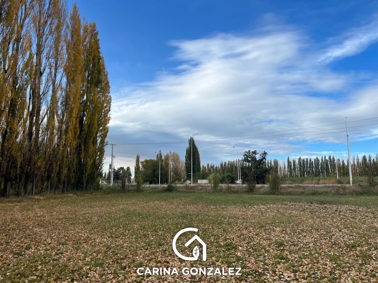 #5291609 | Alquiler | Campo / Chacra | Centenario (Carina Gonzalez - Servicios Inmobiliarios)
