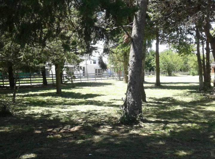 #5303842 | Venta | Lote | La Plata (María Sol Bologna Bienes Raíces)