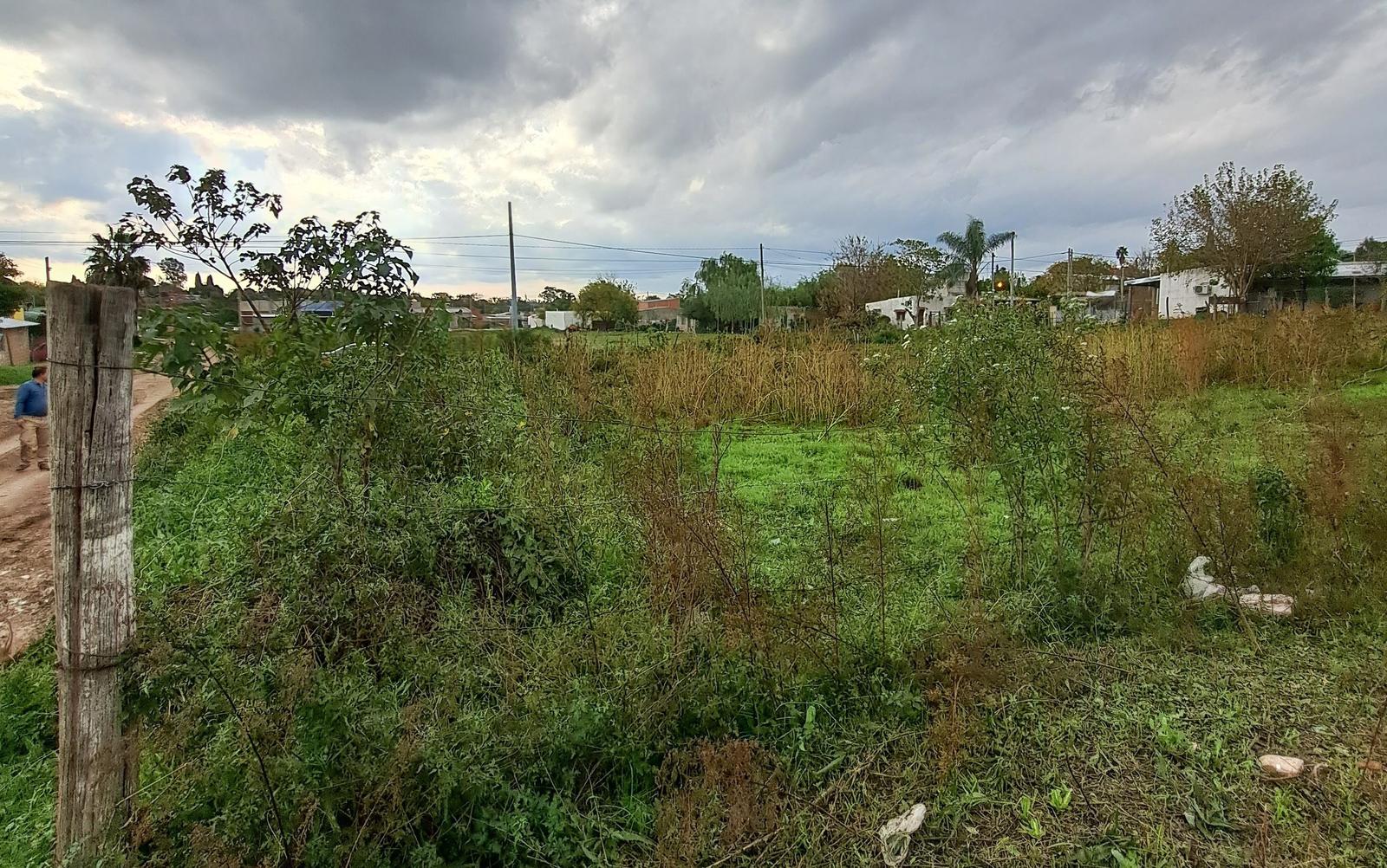 #5339065 | Venta | Lote | Victoria (Inmobiliaria Risso)