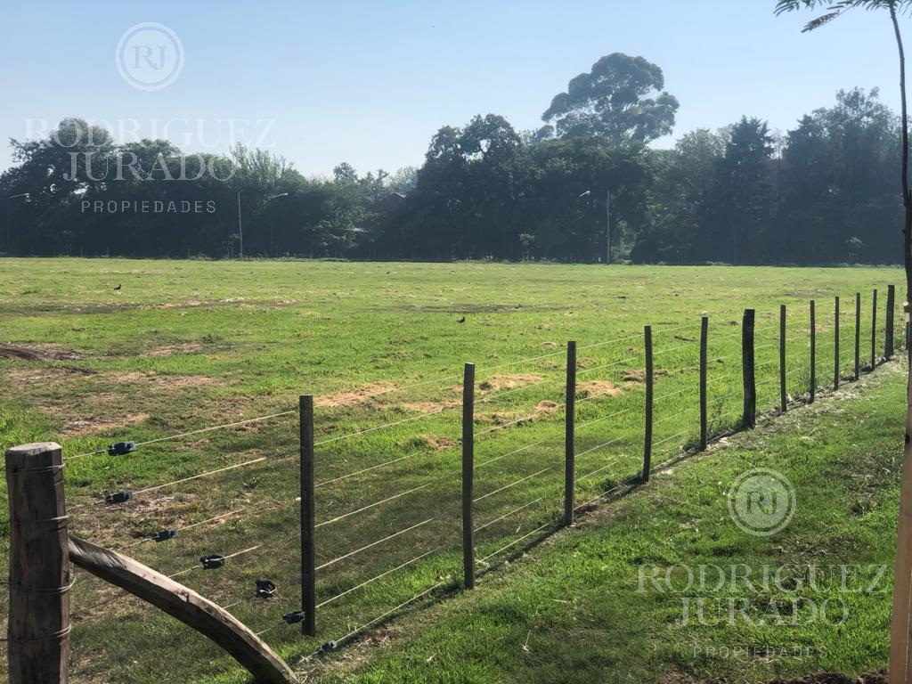 #5436519 | Venta | Lote | San Antonio De Areco (Rodriguez Jurado Propiedades)