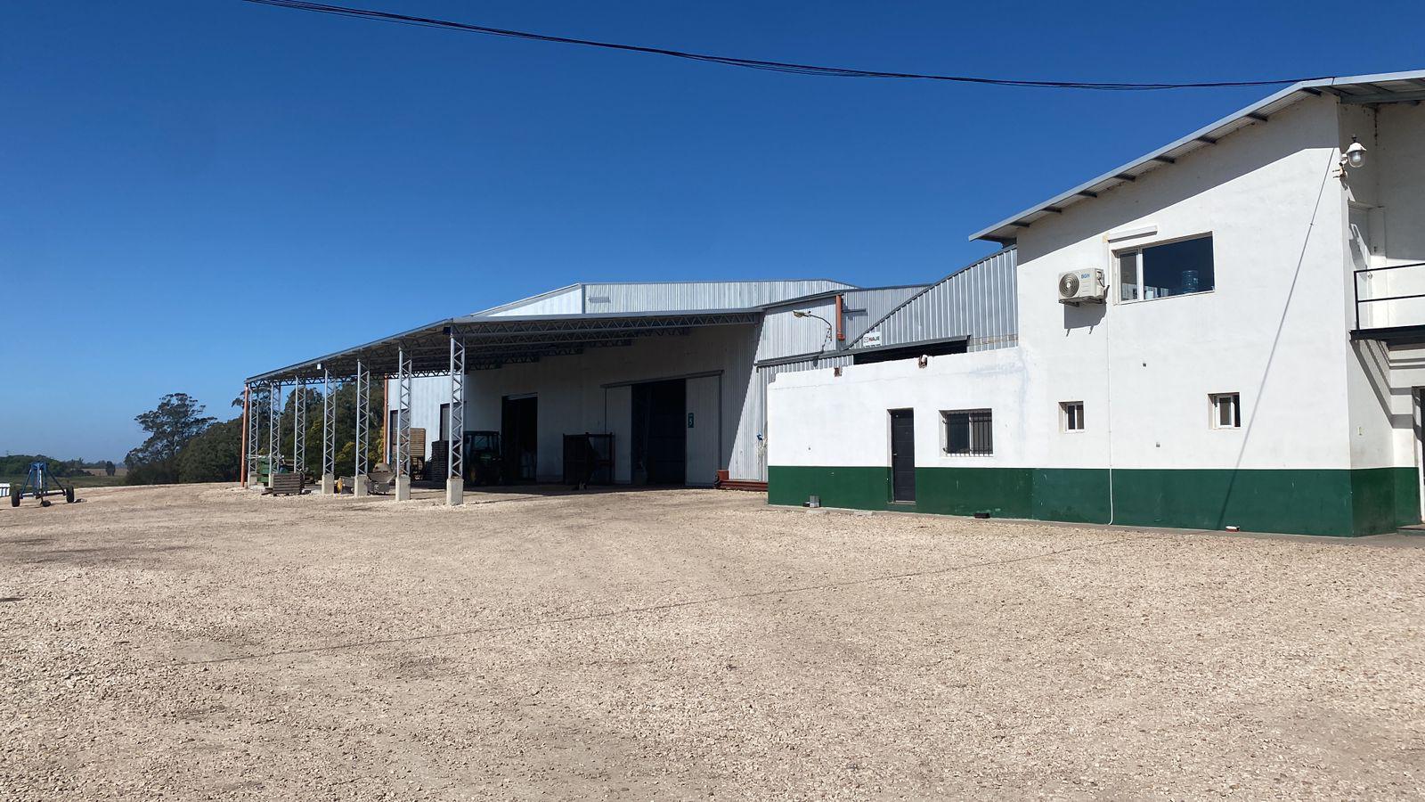 #4845101 | Sale | Warehouse | Mar Del Plata (Espatolero & Lorenzo)