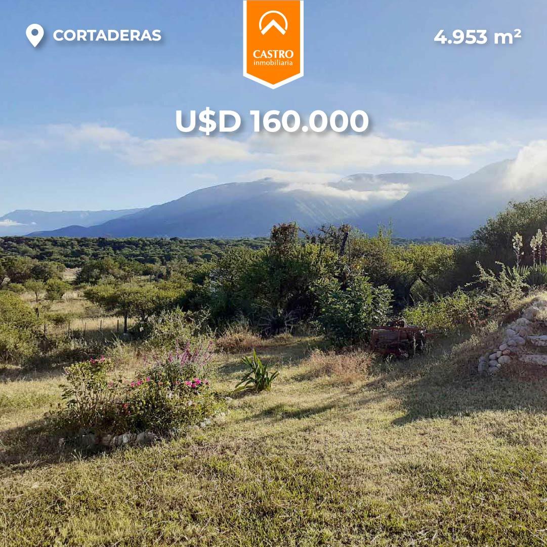 #5455218 | Venta | Campo / Chacra | Cortaderas (Castro Inmobiliaria)