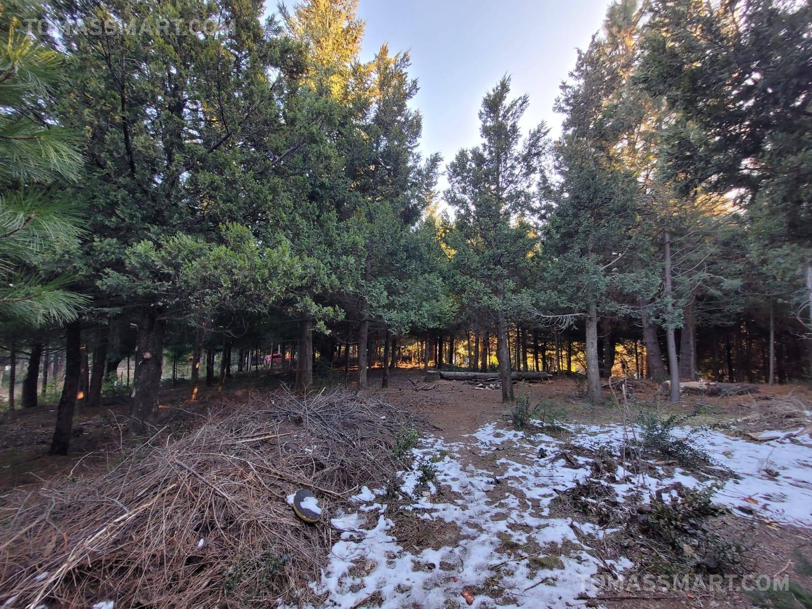 #5448758 | Venta | Lote | San Carlos De Bariloche (Tomas Smart)