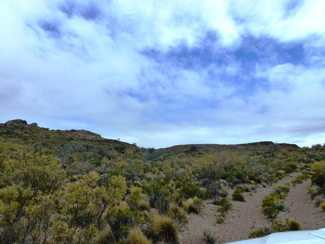 #250057 | Venta | Campo / Chacra | Pico Truncado (Inmobiliaria Comodoro Sociedad Anonima)