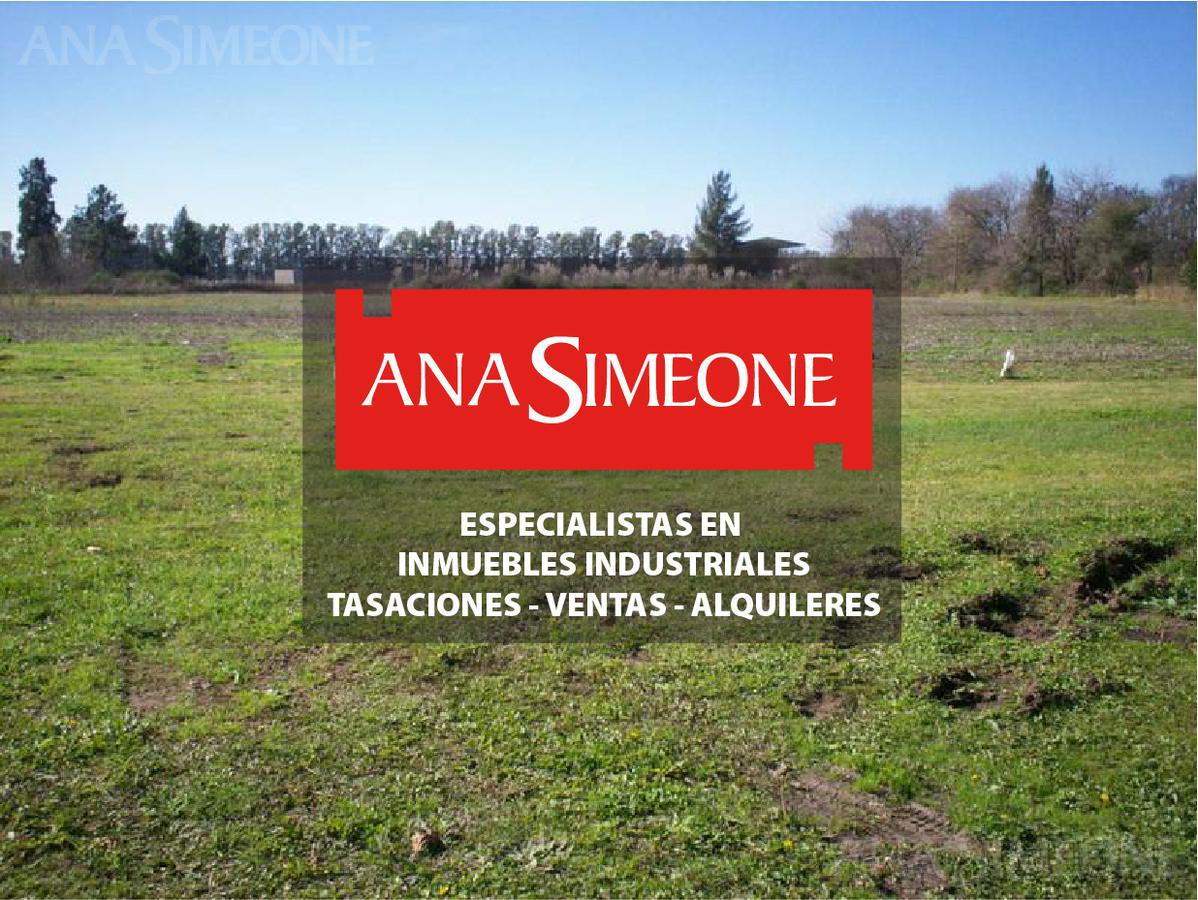 #185834 | Venta | Lote | Cuartel V (Ana Simeone | Inmuebles Corporativos)