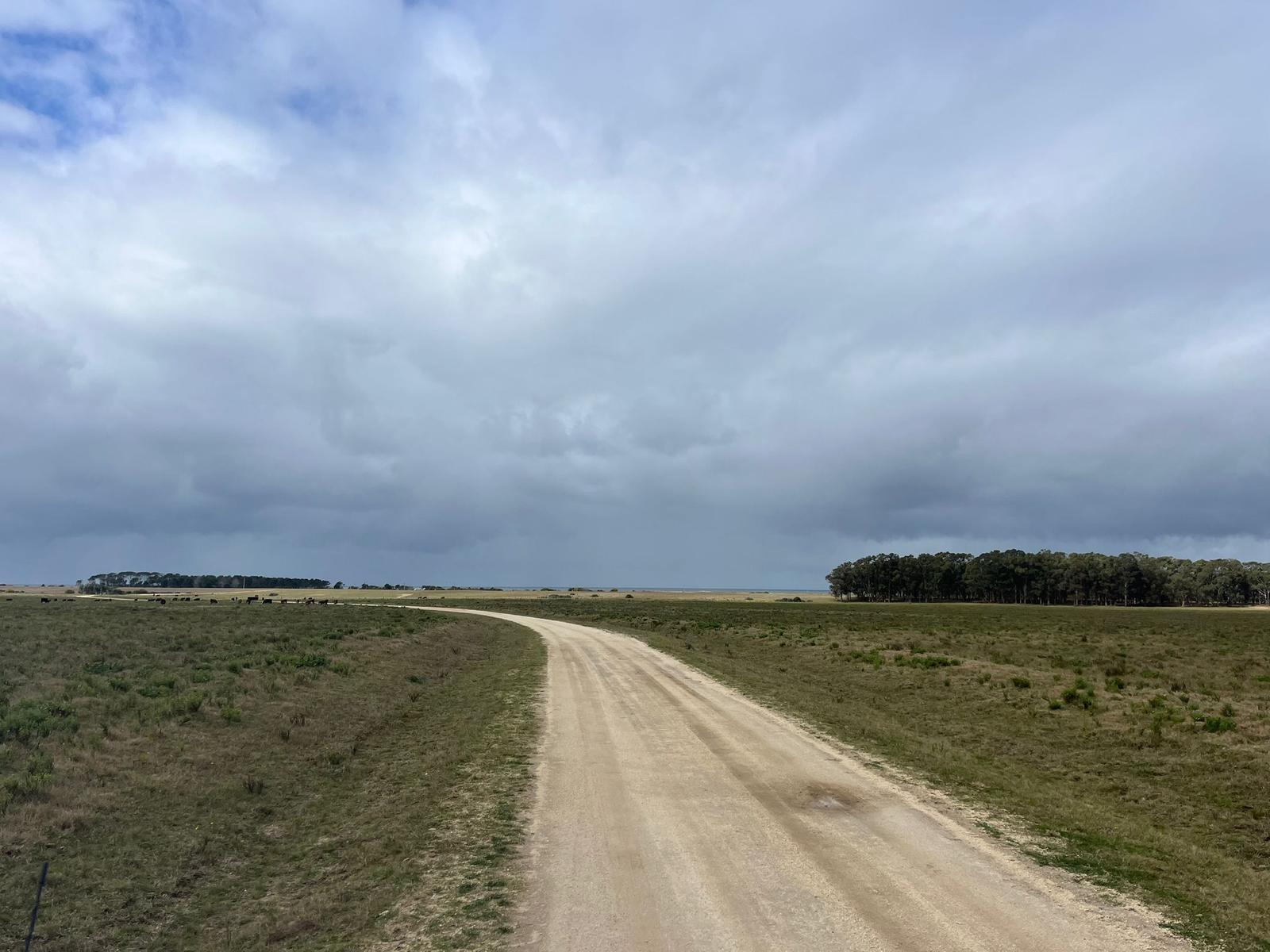 #5462002 | Venta | Campo / Chacra | Arenas de José Ignacio (Terramar)