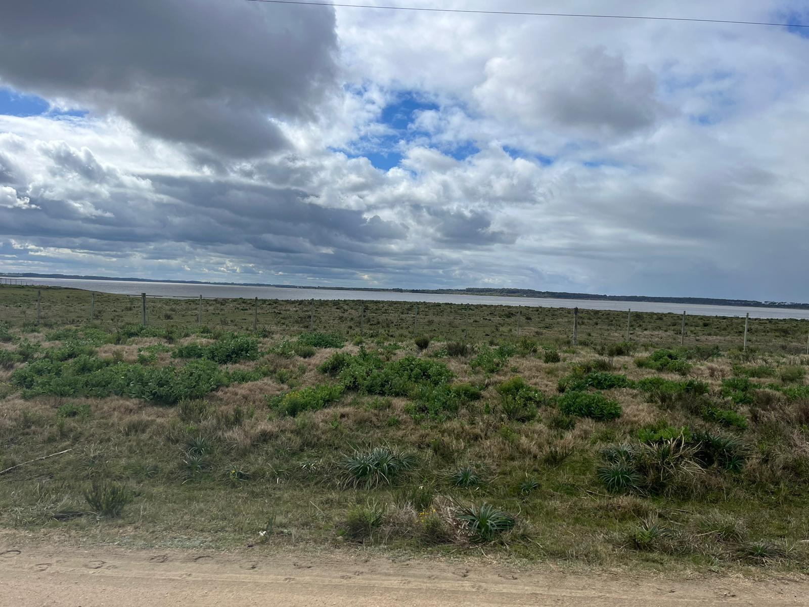 #5462003 | Venta | Campo / Chacra | Arenas de José Ignacio (Terramar)