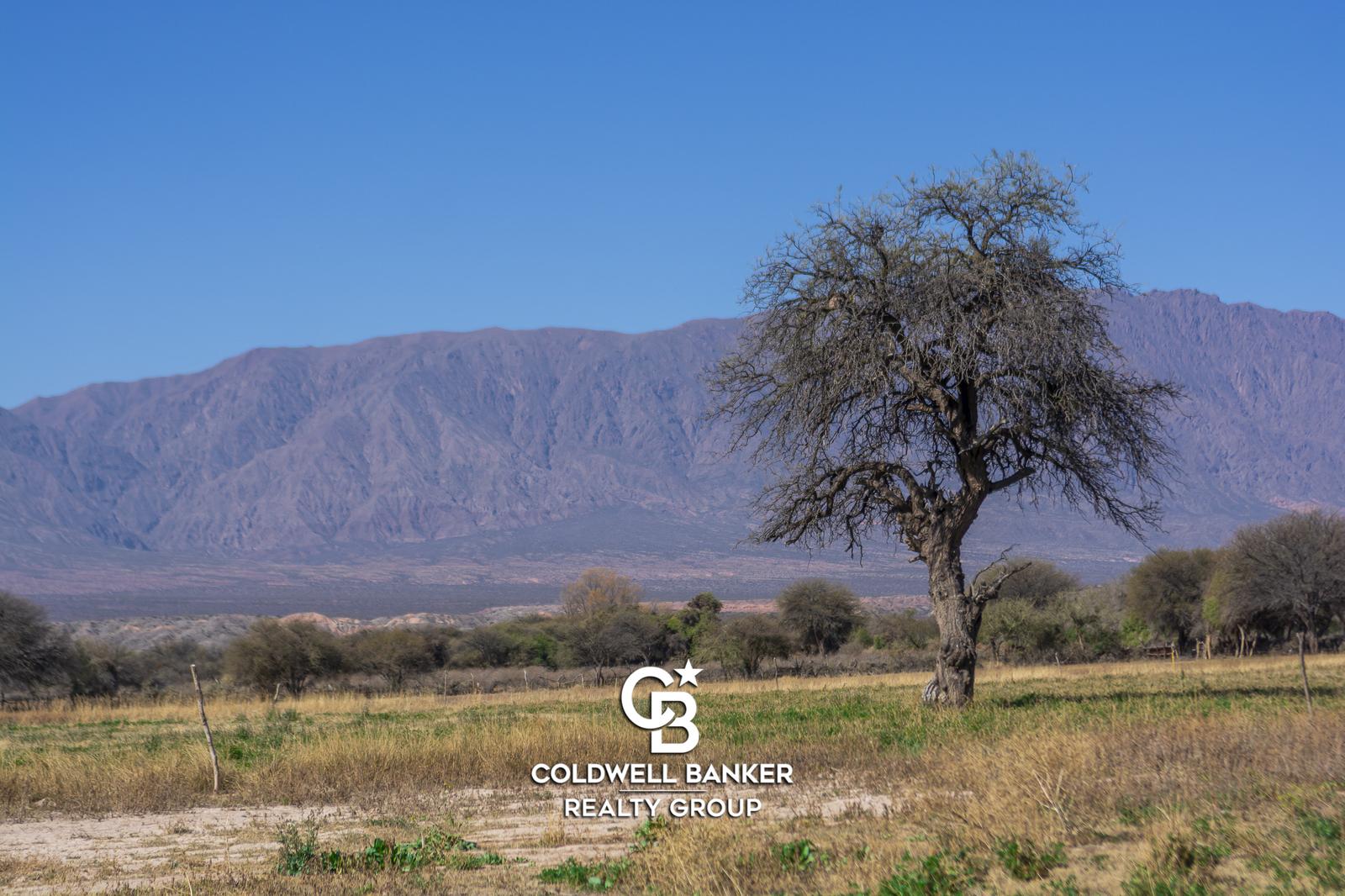 #5461008 | Venta | Campo / Chacra | Cafayate (Realtor Group)