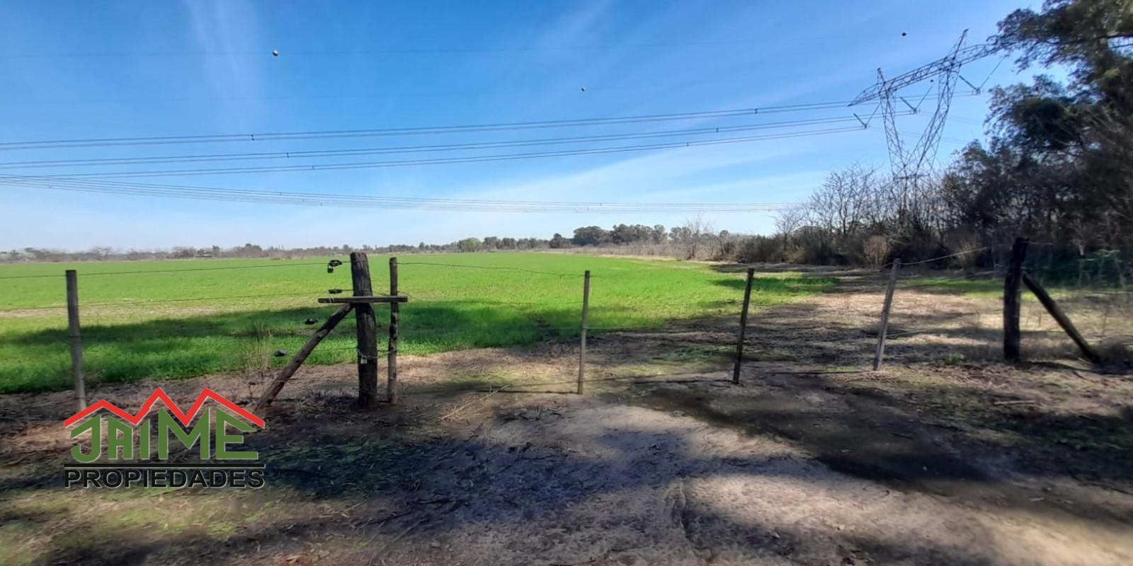 #5440513 | Venta | Campo / Chacra | Marcos Paz B Bernasconi (Jaime Propiedades)