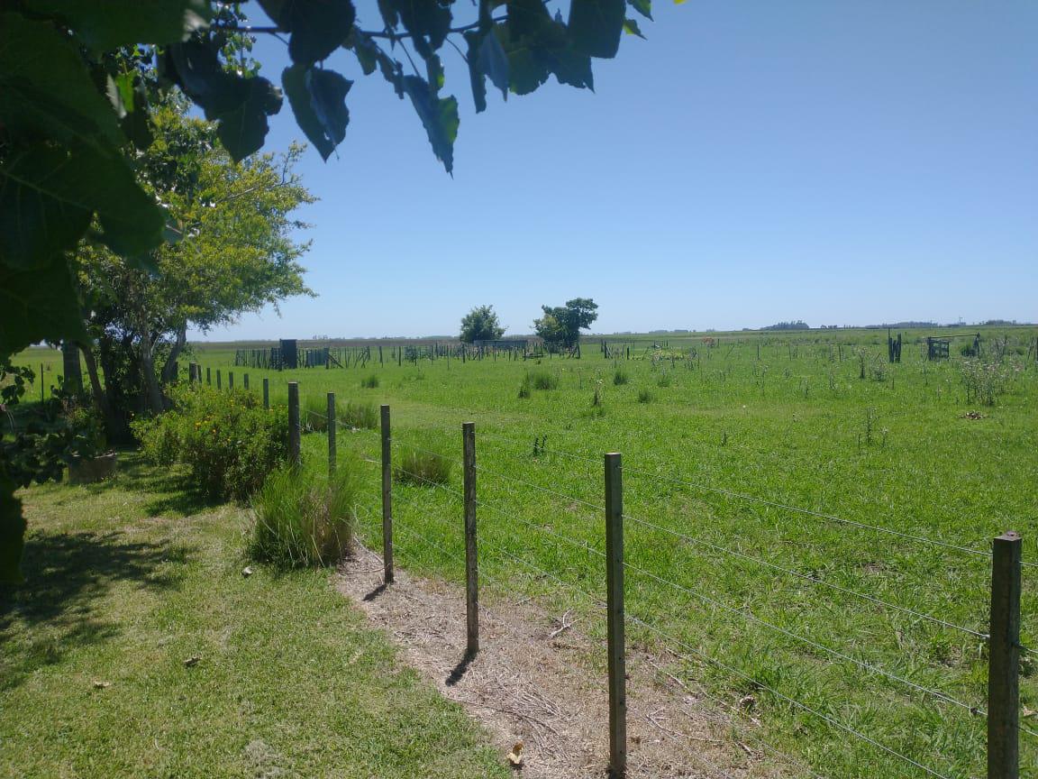 #5464683 | Venta | Campo / Chacra | Chascomus (Realty One Group Best)