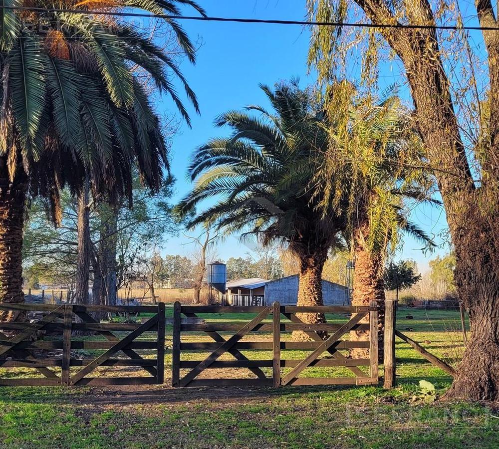 #5489516 | Venta | Campo / Chacra | Parada Robles (Serrano Propiedades)