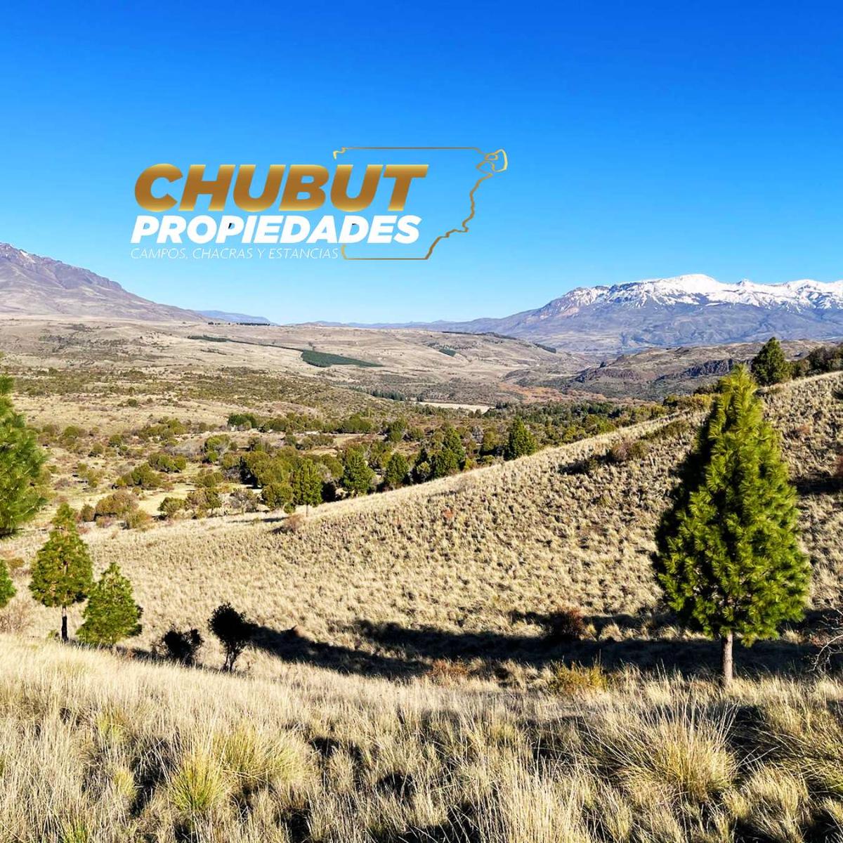 #5407123 | Venta | Lote | Trevelin (Chubut Propiedades)