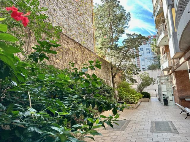 #5330251 | Alquiler | Departamento | Palermo (Aldea Urbana)