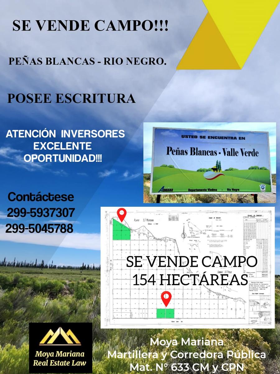 #5504350 | Venta | Campo / Chacra | Peñas Blancas (Negocios Inmobiliarios Limay)