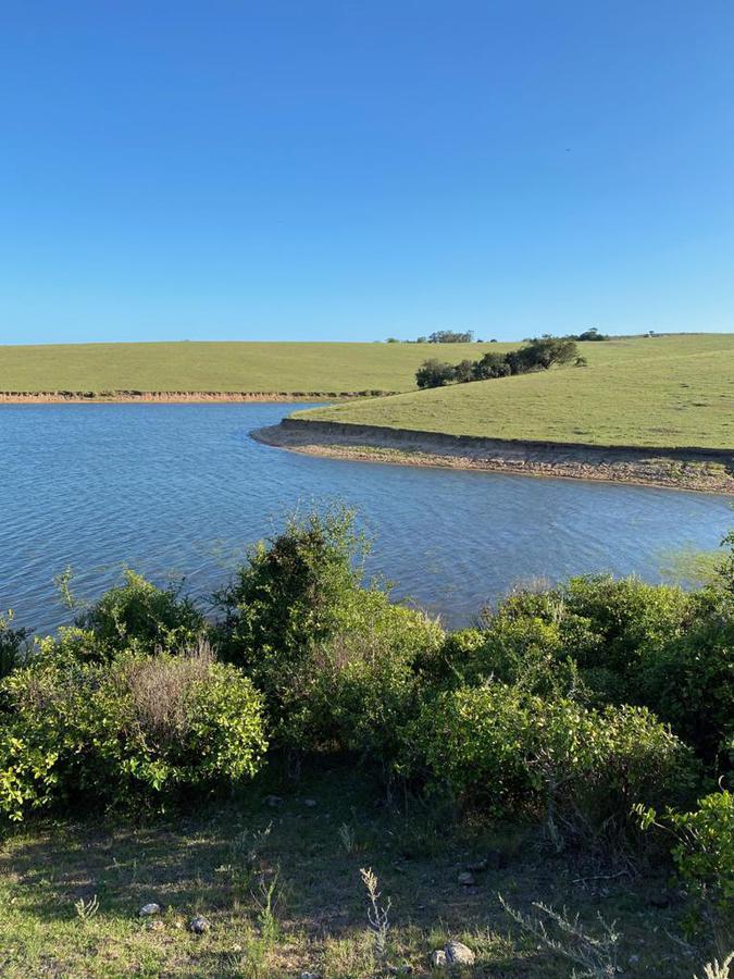 #2240930 | Venta | Campo / Chacra | Laguna de Jose Ignacio (Kuste House Hunting)