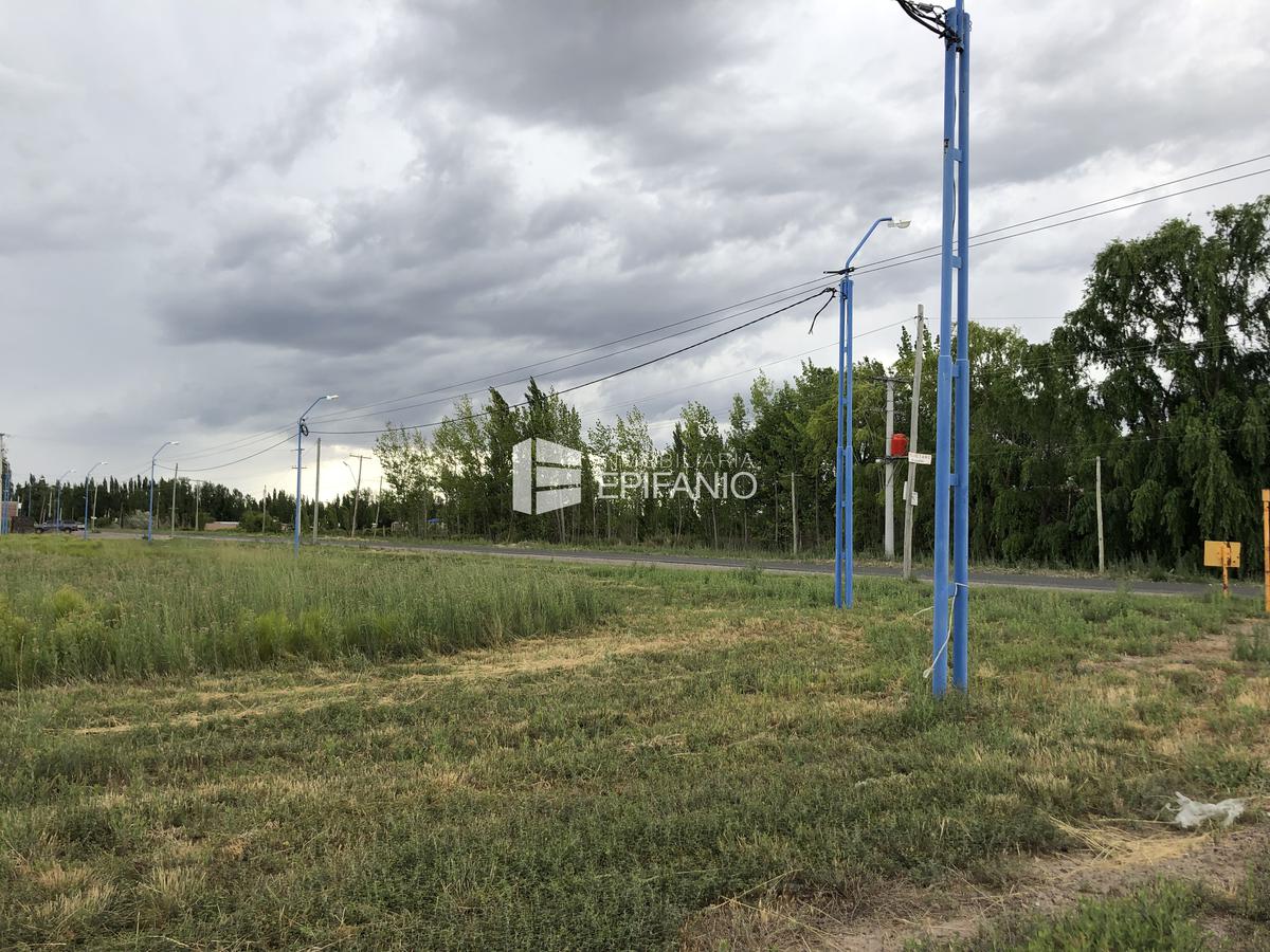 #2751268 | Venta | Lote | General Roca (Inmobiliaria Epifanio)