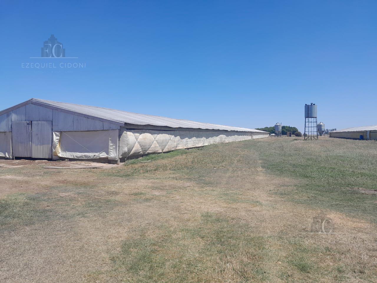 #5404255 | Sale | Farm | Gahan (Ezequiel Cidoni Negocios Inmobiliarios 1)