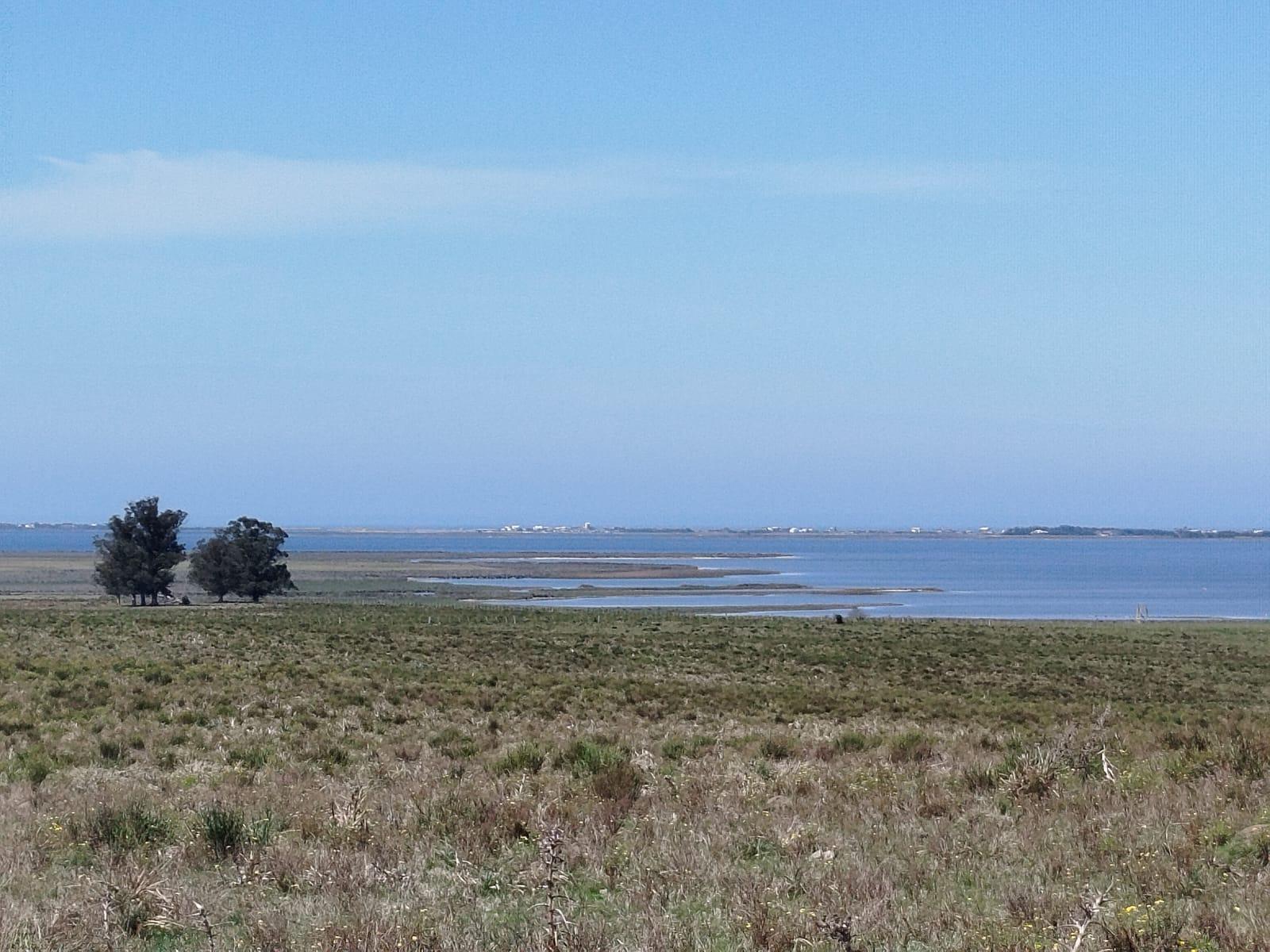 #5482378 | Venta | Campo / Chacra | Arenas de José Ignacio (Sebastián Kunica Propiedades)