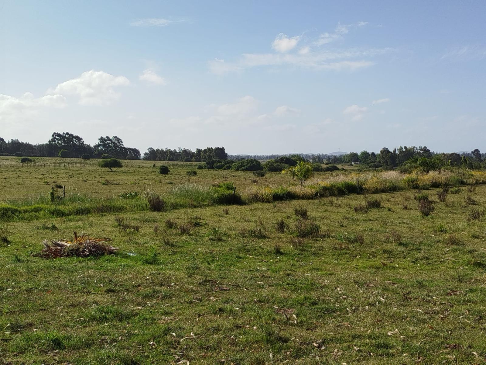 #5482376 | Venta | Campo / Chacra | Arenas de José Ignacio (Sebastián Kunica Propiedades)