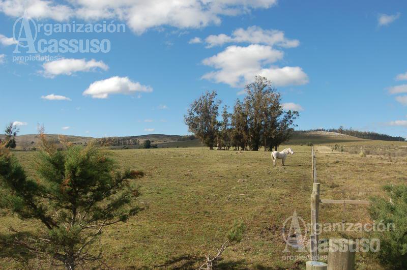 #5483157 | Venta | Campo / Chacra | Abra De Peñas (Organización Acassuso - Casa Central)