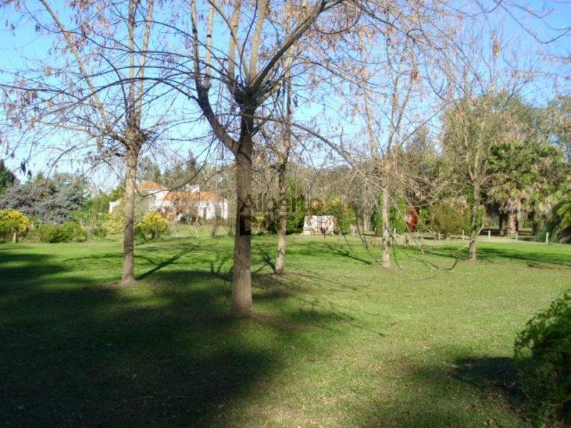 #1024823 | Venta | Casa | Villa Elisa (Alberto Dacal)