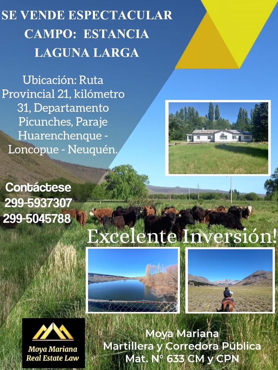 #5504349 | Venta | Campo / Chacra | Loncopue (Negocios Inmobiliarios Limay)