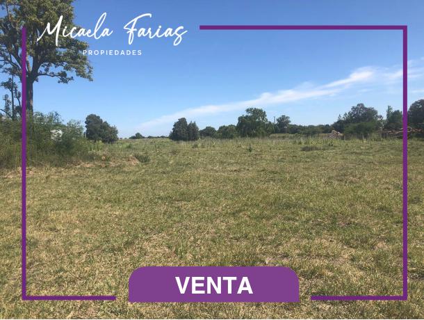 #4881972 | Venta | Campo / Chacra | General Madariaga (Micaela Farias Propiedades)