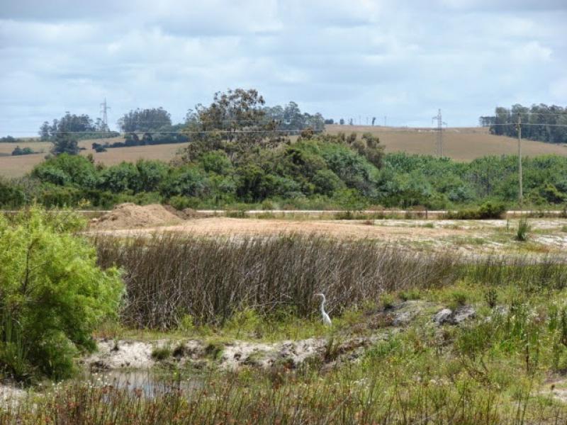 #1004048 | Venta | Campo / Chacra | Faro José Ignacio (Terramar)