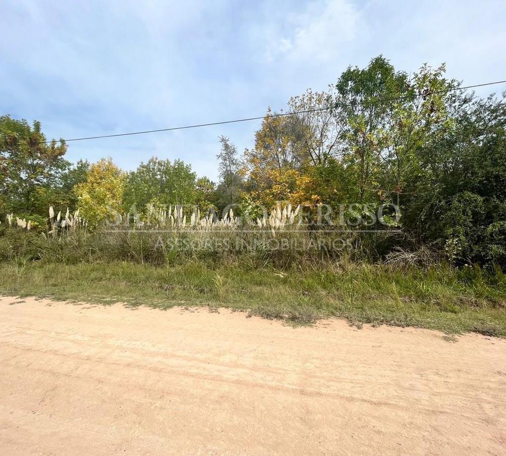 #5151799 | Venta | Lote | Santa Brigida (SB Asesores Inmobiliarios)